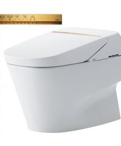 Bồn cầu điện tử TOTO CW993VA#NW1/TCF993WA#NW1/T53P100VR NEOREST XH II