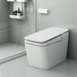 Bồn Cầu Điện Tử AMERICAN STANDARD KP-8310 1 Khối Nắp Êm PLAT