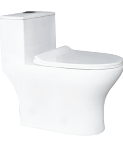 Bồn Cầu THIÊN THANH EVEREST CK79 1 Khối
