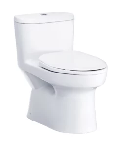 Bồn Cầu COTTO C1015 1 Khối Nắp Êm