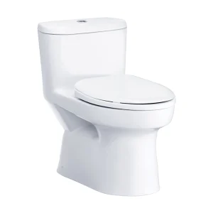 Bồn Cầu COTTO C1015 1 Khối Nắp Êm