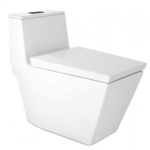 Bồn Cầu COTTO C102807 1 Khối Nắp Êm