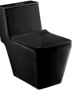 Bồn Cầu COTTO C1032 MBK 1 Khối Nắp Êm Màu Đen