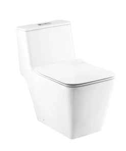 Bồn Cầu COTTO C10327 1 Khối Nắp Êm