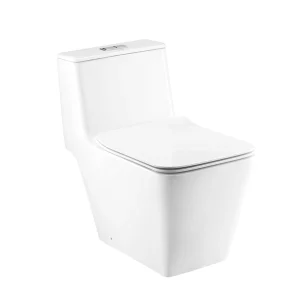 Bồn Cầu COTTO C10327 1 Khối Nắp Êm