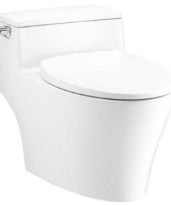 Bồn Cầu COTTO C10357 1 Khối Nắp Êm Xả Gạt