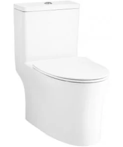 Bồn Cầu COTTO C105607 1 Khối Nắp Êm