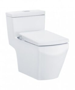Bồn Cầu COTTO C107127 1 Khối Nắp Êm