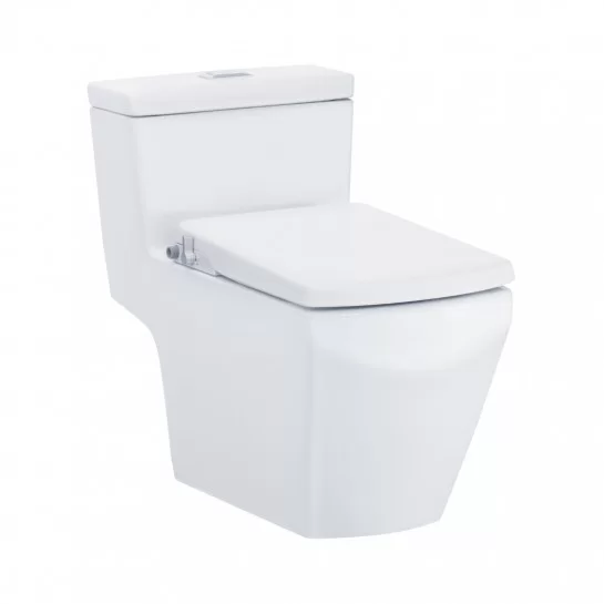 Bồn Cầu COTTO C107127(CN) 1 Khối Nắp Rửa Cơ