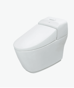 Bồn Cầu INAX AC-1032VN 1 Khối