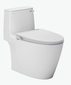 Bồn cầu rửa cơ INAX AC-912/CW-S32VN