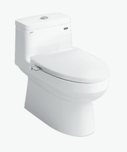 Bồn cầu rửa coAC-939/CW-S32VN