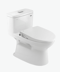 Bồn cầu rửa cơ INAX AC-969A/CW-S15VN