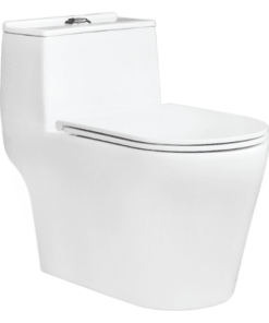 Bồn Cầu THIÊN THANH LUX CK99 1 Khối
