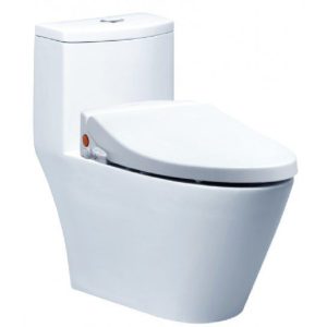 Bồn cầu rửa cơ Caesar CD1363/TAF050