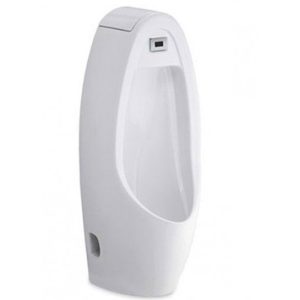 bồn tiểu cotto C31237DC