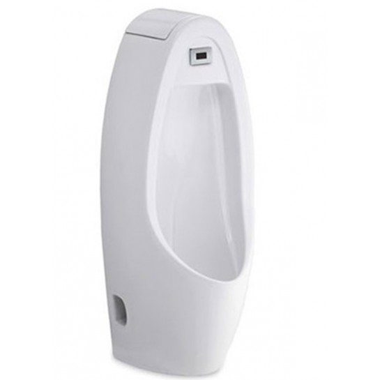 bồn tiểu cotto C31237DC
