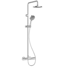 Sen cây American standard