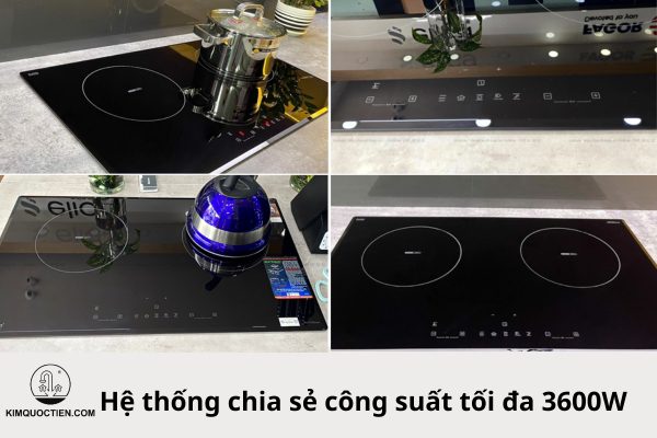 bếp từ eurosun eu t256 max