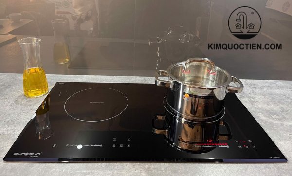 Bếp từ EUROSUN EU-T508Max 2 vùng nấu