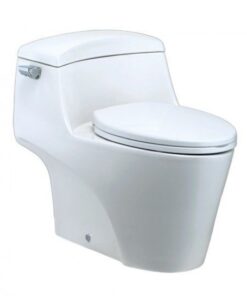 Bồn cầu 1 khối Caesar