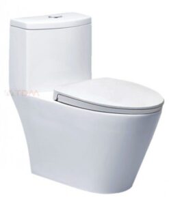 Bồn cầu caesar CD1363