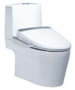 Bồn cầu điện tử Caesar CD1345/TAF200H