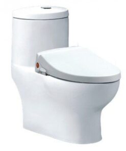 Bồn cầu rửa cơ Caesar CD1375/TAF050