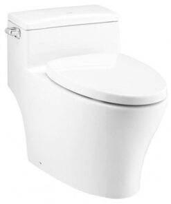 Bồn Cầu COTTO C10347 1 Khối Nắp Êm Xả Gạt