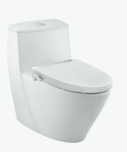 Bồn cầu rửa cơ INAX AC-919R/CW-S32VN