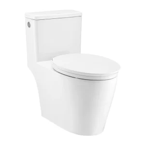 Bồn Cầu COTTO C110517 1 Khối