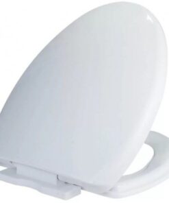 Nắp Bồn Cầu Viglacera V37