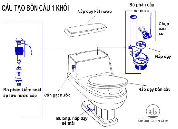 Cấu tạo bồn cầu