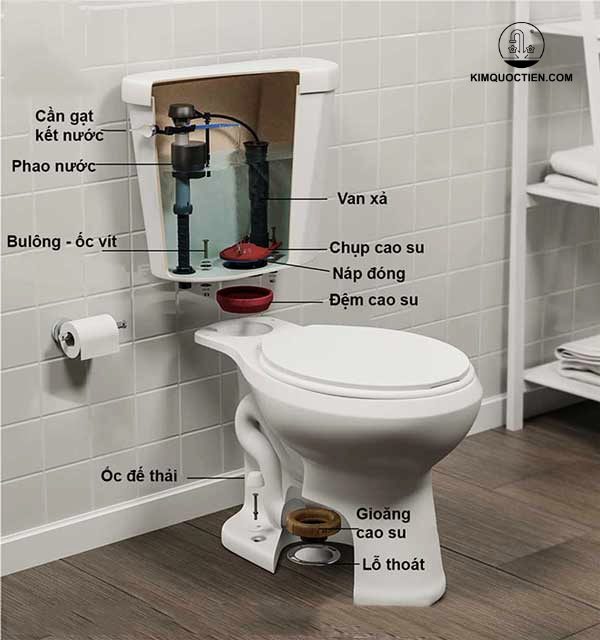 Cấu tạo bồn cầu