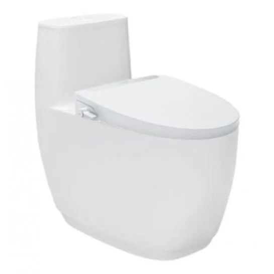 Bồn Cầu Rửa Cơ INAX