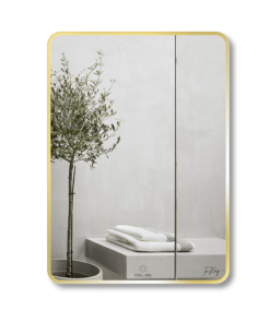 Gương GLS F11R30 Chữ Nhật Viền Nhôm Đen Dòng F 50x70cm