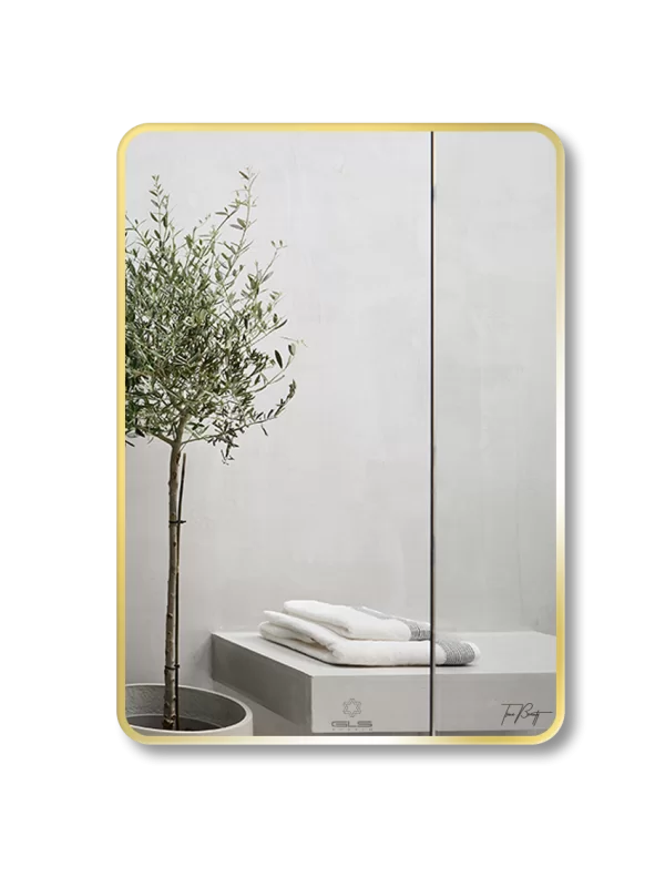 Gương GLS F11R30 Chữ Nhật Viền Nhôm Đen Dòng F 50x70cm