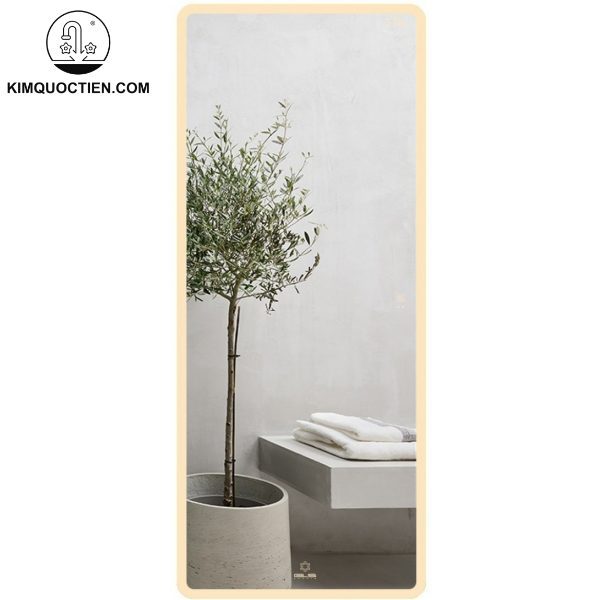 Hình ảnh phản chiếu trên gương Thái Guardian cao cấp và gương thông thường, làm nổi bật độ sắc nét và chân thực