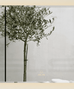 Gương Led GLS M35R61 Chữ Nhật Dòng M 80x60cm