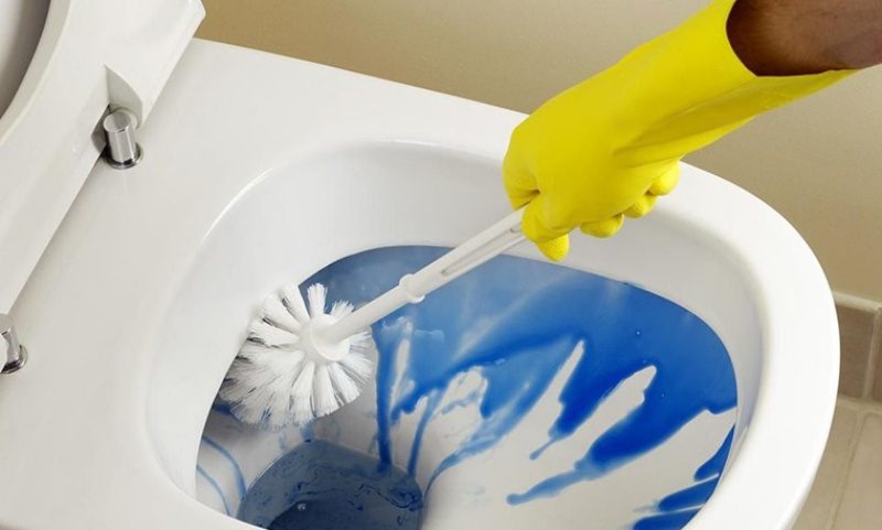 hướng dẫn sử dụng bồn cầu