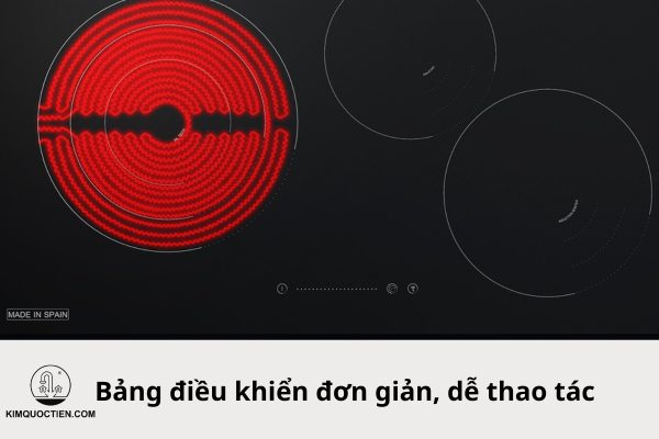 bếp điện từ dmestik na773 it