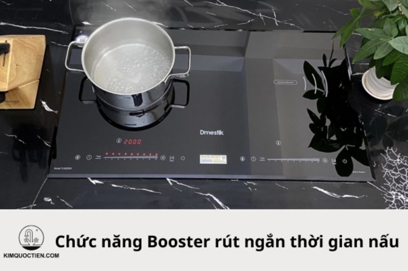 bếp từ dmestik tl922dki