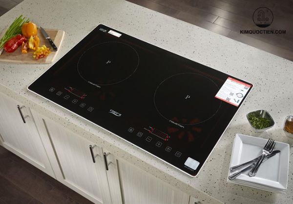 Bếp từ đôi loại nào tốt