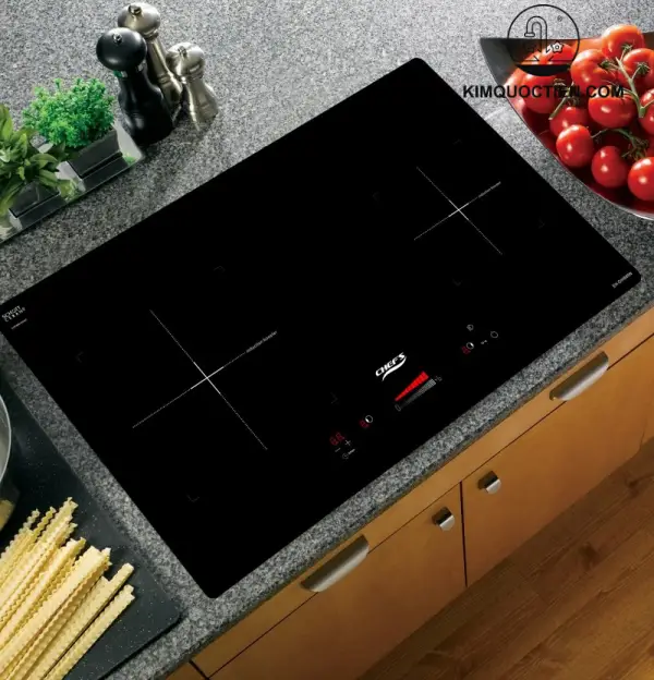 Bếp từ đôi EH-DIH866N