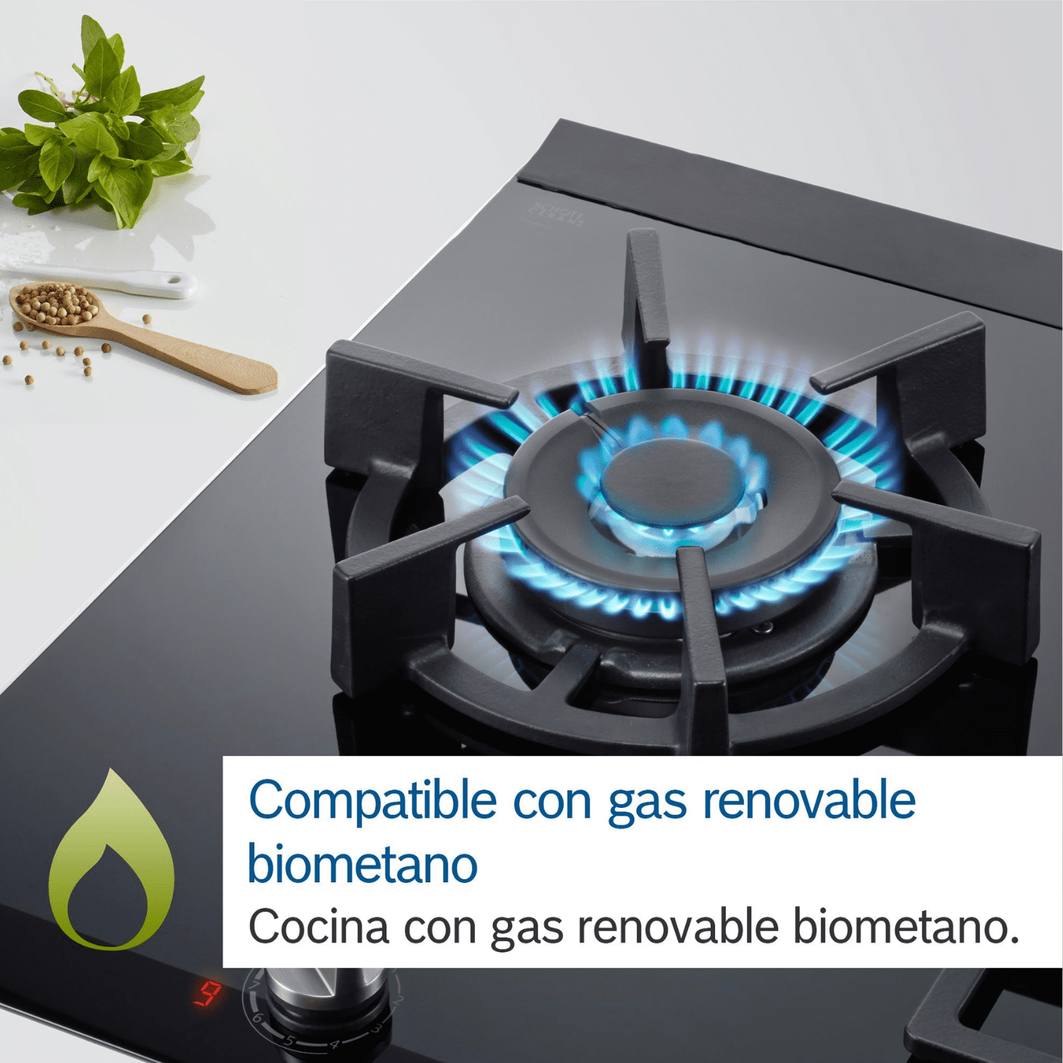 Bếp gas 4 vùng nấu BOSCH PBH6B5B60