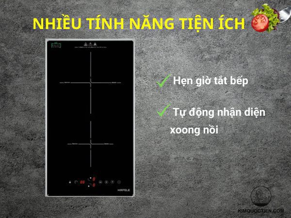 Bếp từ Hafele Domino 536.61.930