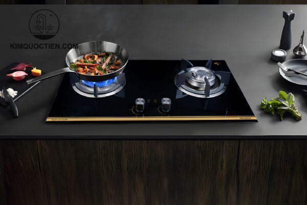 Bếp gas âm GrandX GX GS299D