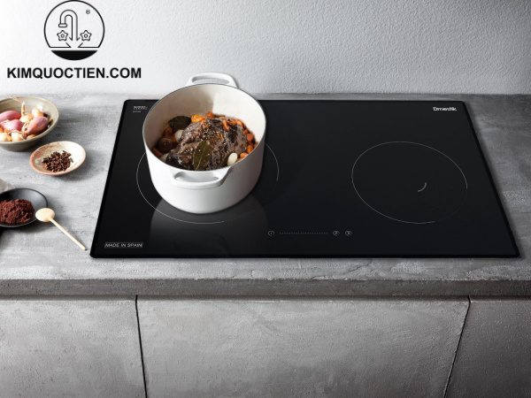 bếp từ Dmestik ES 828DKI