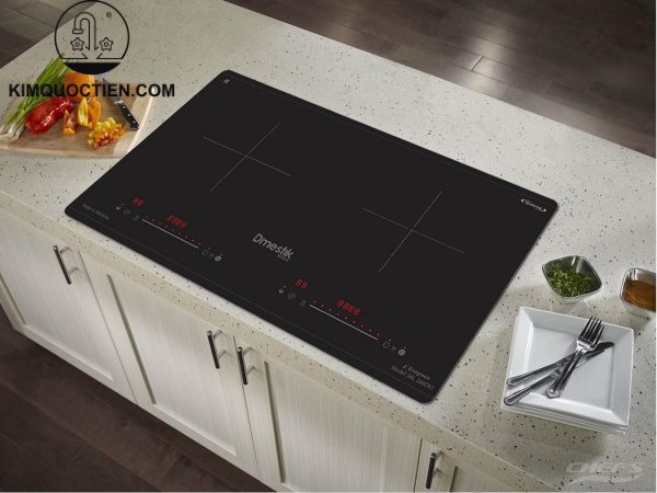 Bếp từ D'mestik ML 288 DKI