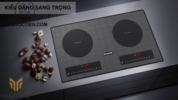 BẾP TỪ D'MESTIK ML828 DKI
